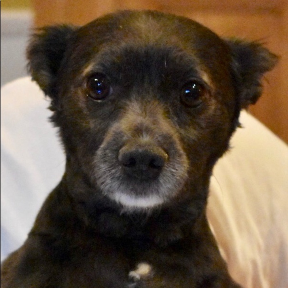 Meet your Posher, Lin